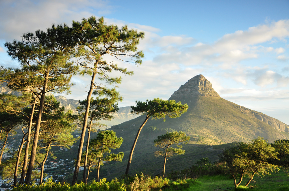 Blick auf den Lions Head