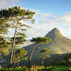 Blick auf den Lions Head