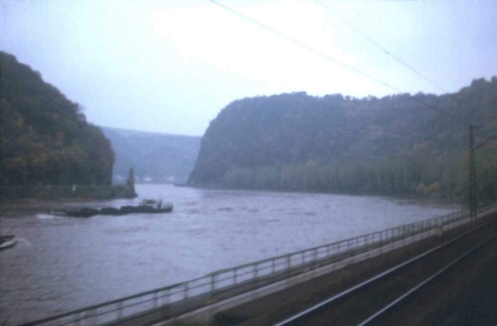 Blick auf den Loreley-Felsen