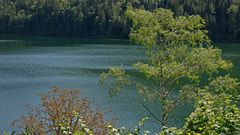 Blick auf den Lunzersee