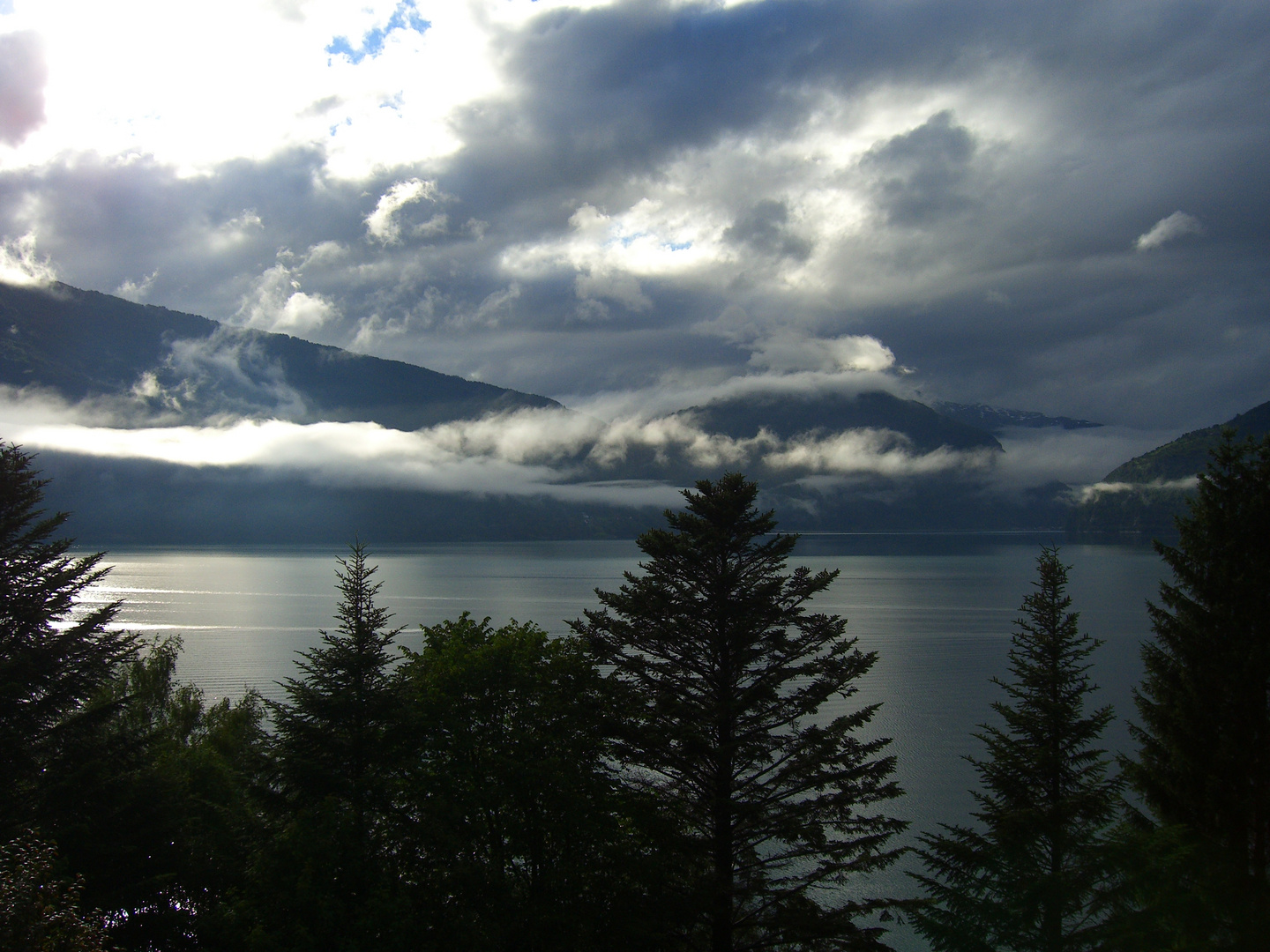 Blick auf den Lustrafjord