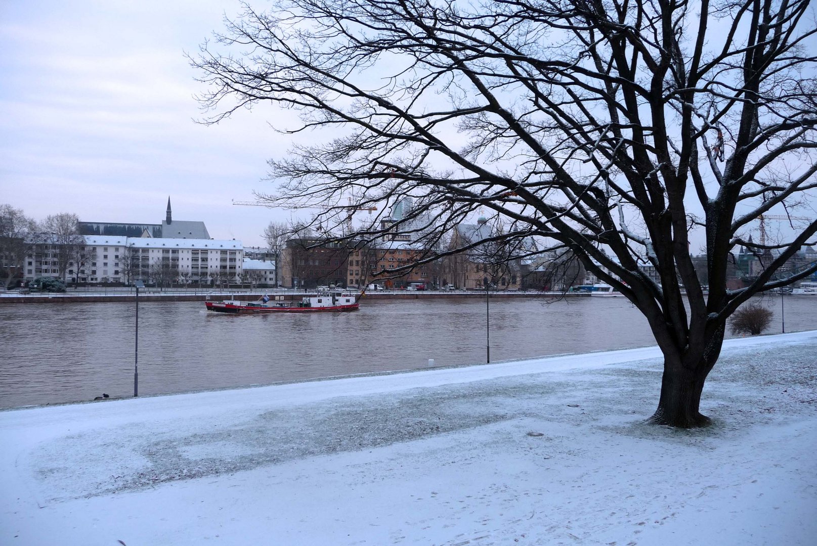 Blick auf den Main