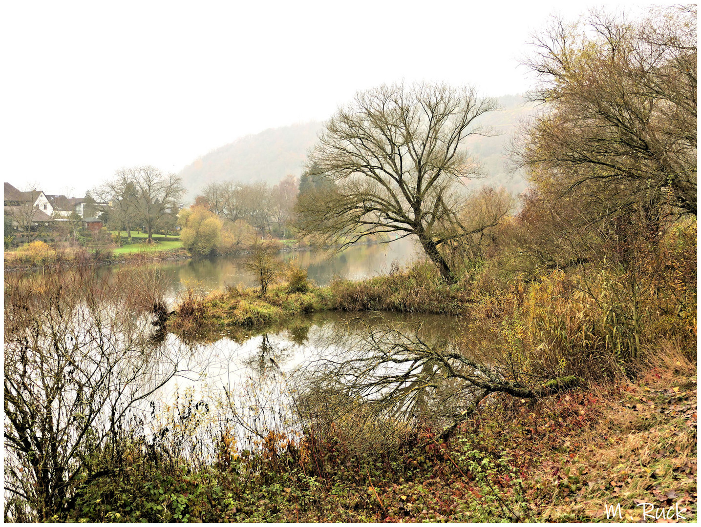 Blick auf den Main in Novemberlicher Stimmung 