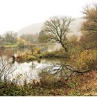 Blick auf den Main in Novemberlicher Stimmung 