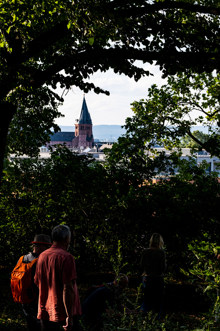 Blick auf den Mainzer Dom 2