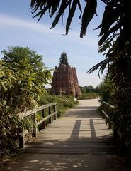 Blick auf den Mammut-Baum