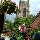 Blick auf den Minster in York