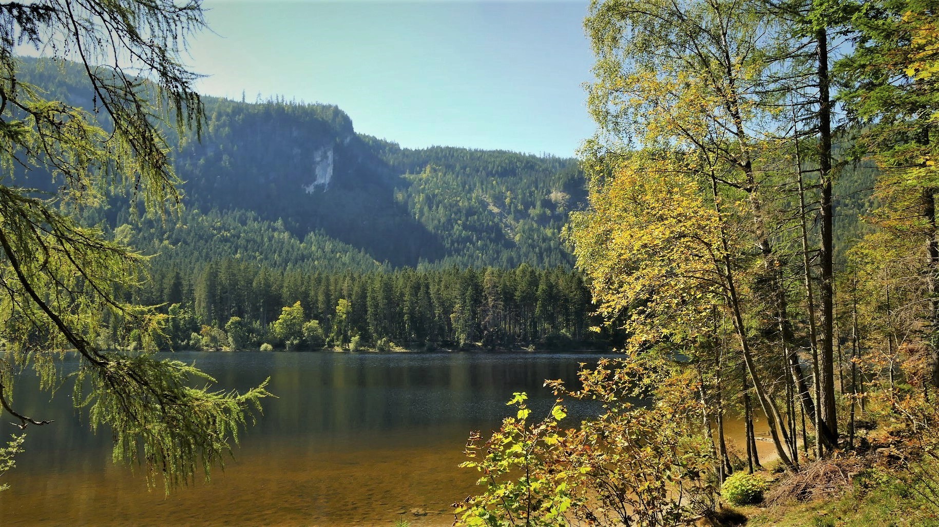 Blick auf den Moorsee