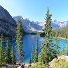 Blick auf den Moraine Lake und im Hintergrund die 10 peaks