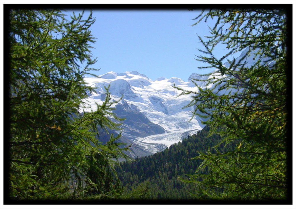 blick auf den morteratschgletscher