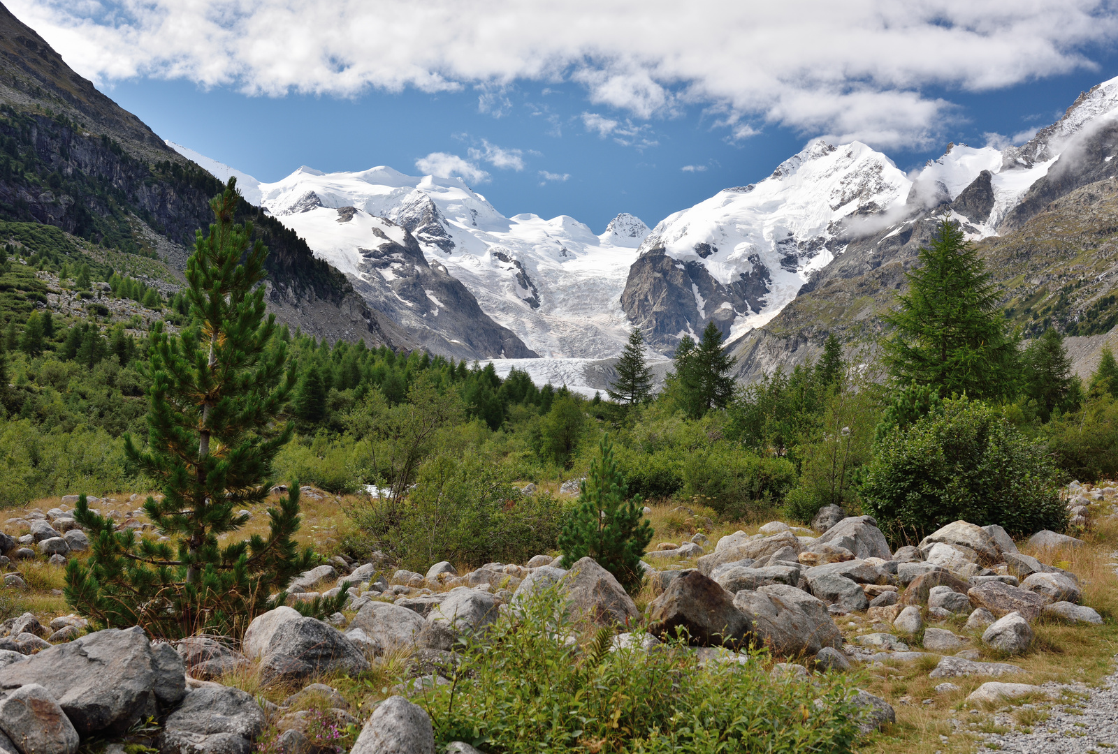 Blick auf den Morteratschgletscher