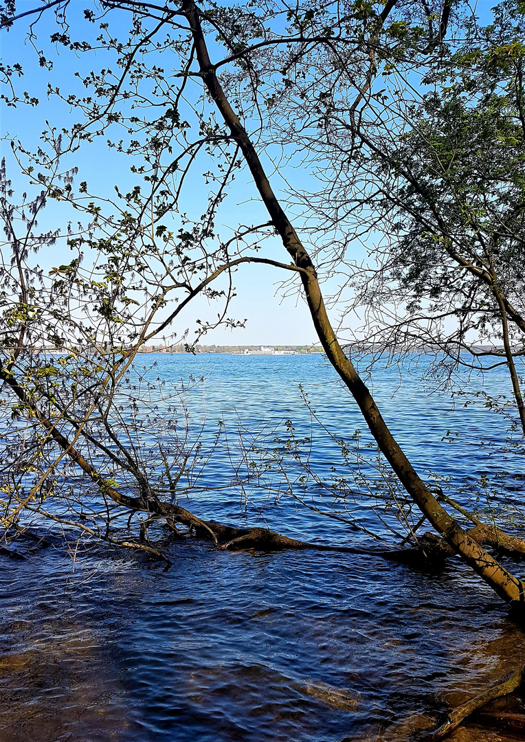 Blick auf den Müggelsee