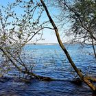 Blick auf den Müggelsee