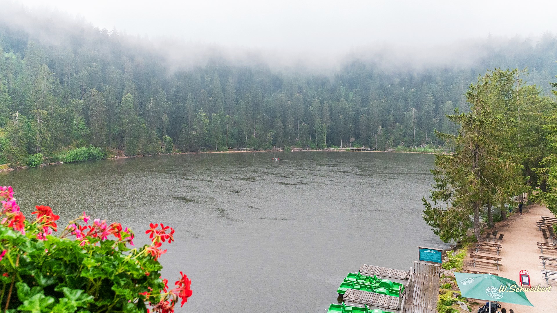 Blick auf den Mummelsee