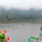 Blick auf den Mummelsee