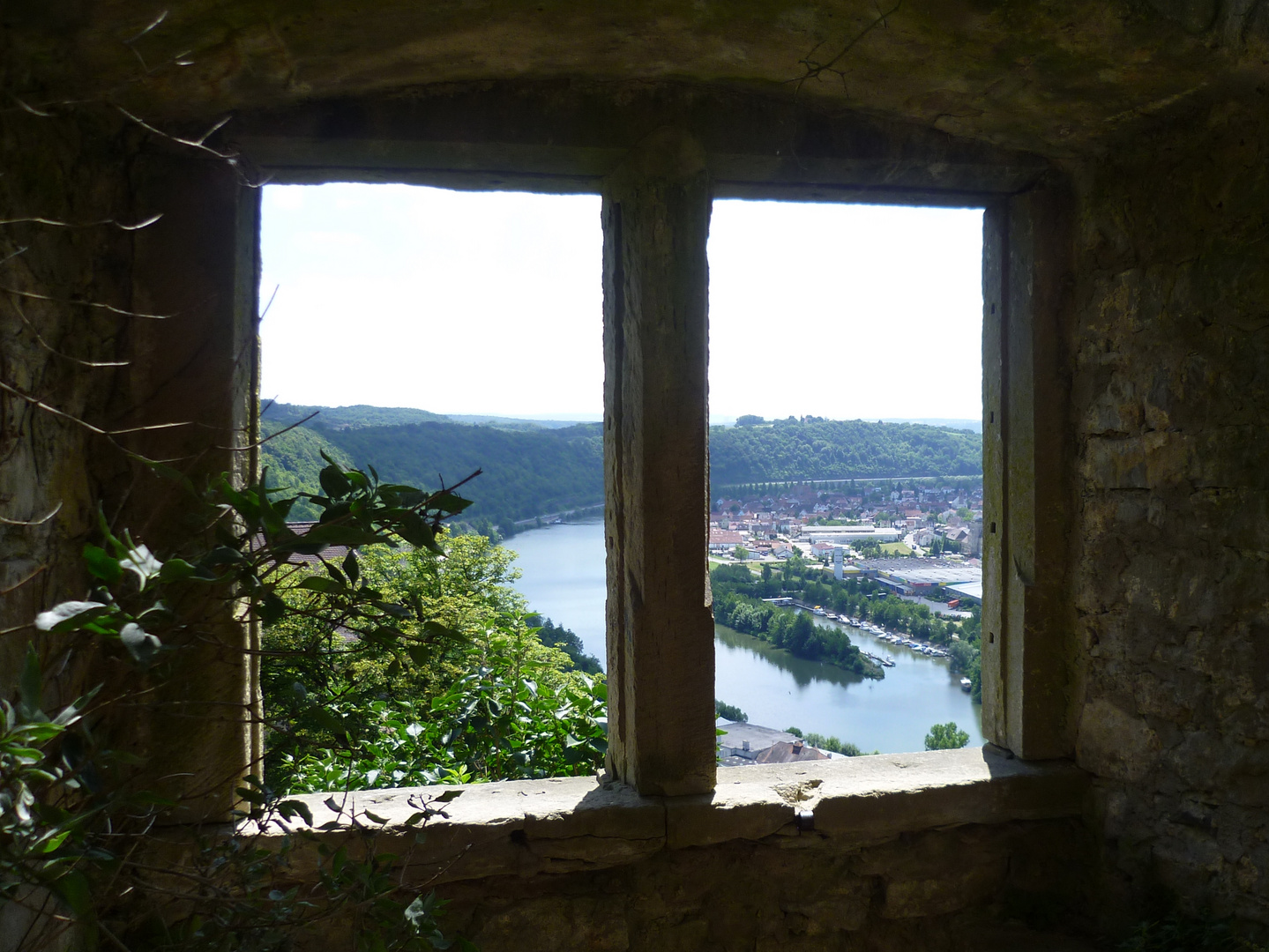 Blick auf den Neckar