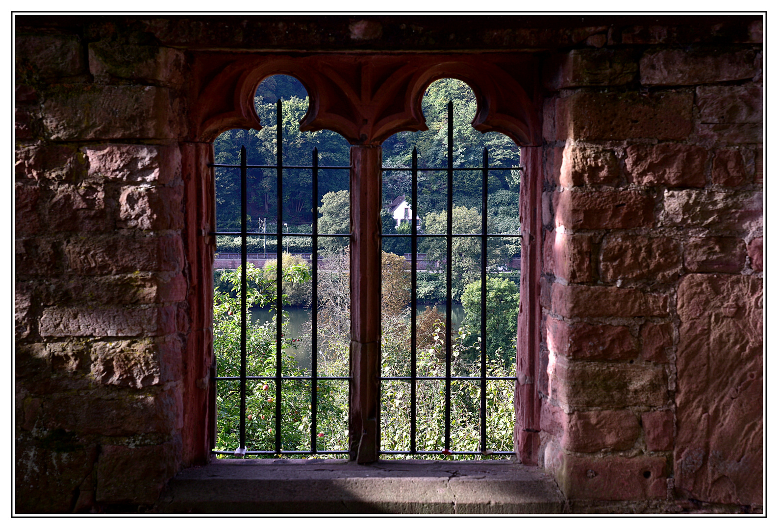 Blick auf den Neckar