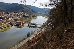 Blick auf den Neckar