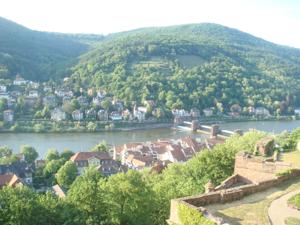 Blick auf den Neckar