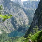 Blick auf den Obersee