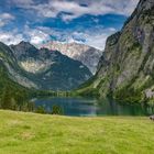 Blick auf den Obersee