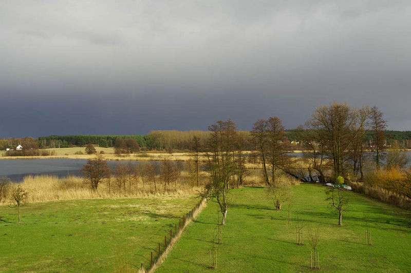 Blick auf den Oberuckersee - Seehausen