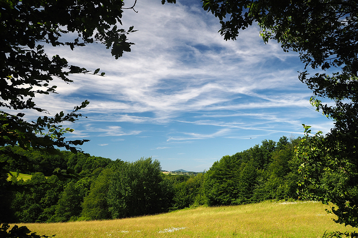 Blick auf den Ölberg