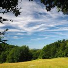 Blick auf den Ölberg