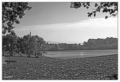 Blick auf den Olbersdorfer See