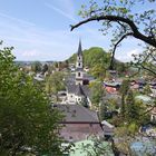 Blick auf den Ort Mattsee