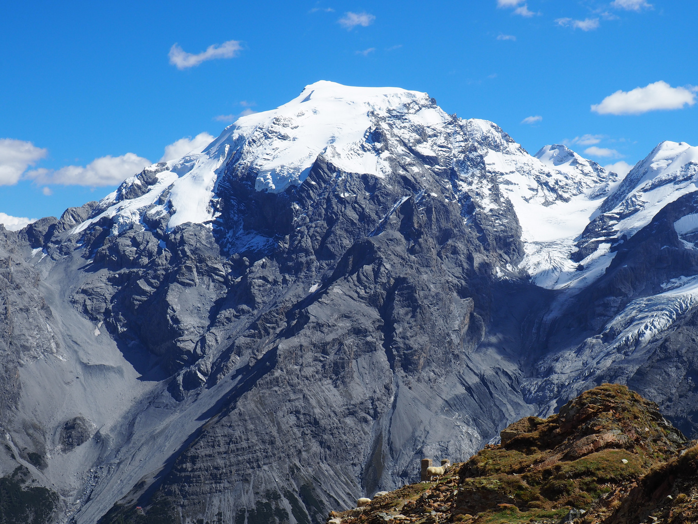 Blick auf den Ortler ... 