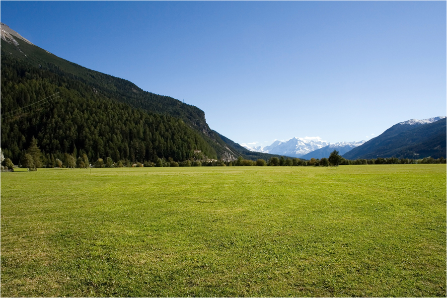 Blick auf den Ortler