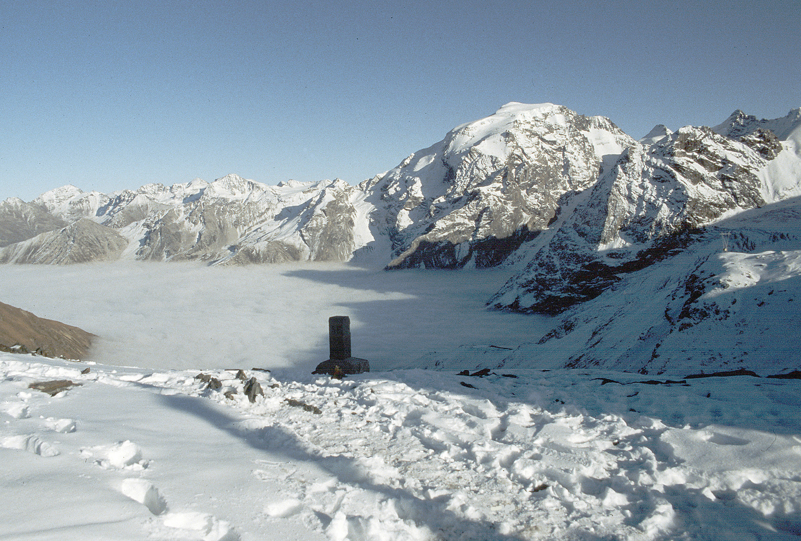 Blick auf den Ortler