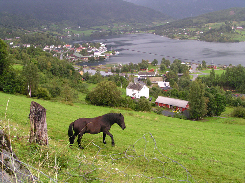 Blick auf den Osafjord / Norwegen