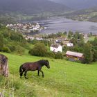 Blick auf den Osafjord / Norwegen