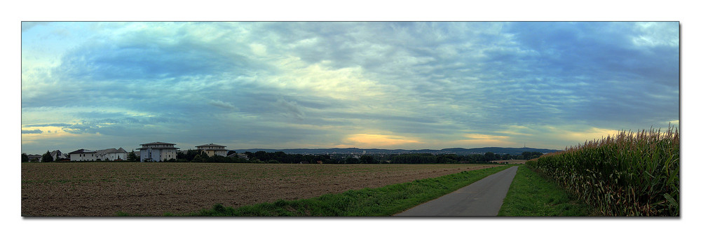 Blick auf den Osning (Teutoburger Wald)