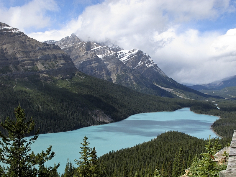 Blick auf den Peyto Lake