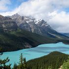 Blick auf den Peyto Lake