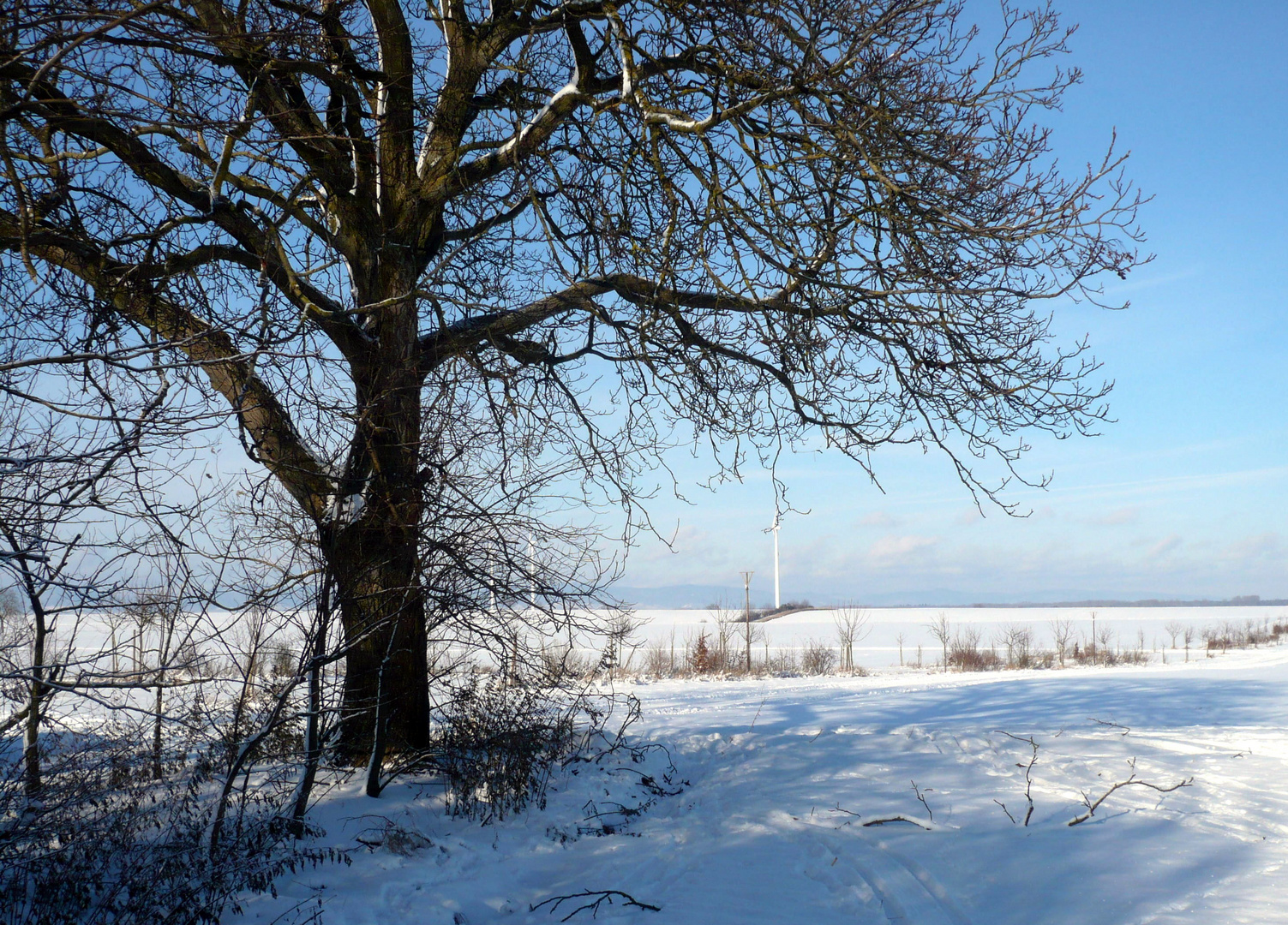 Blick auf den Pfälzer Wald