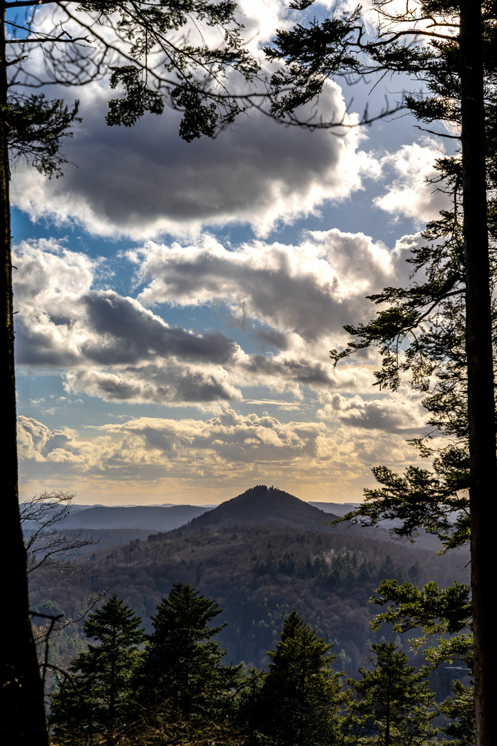 Blick auf den Pfälzerwald