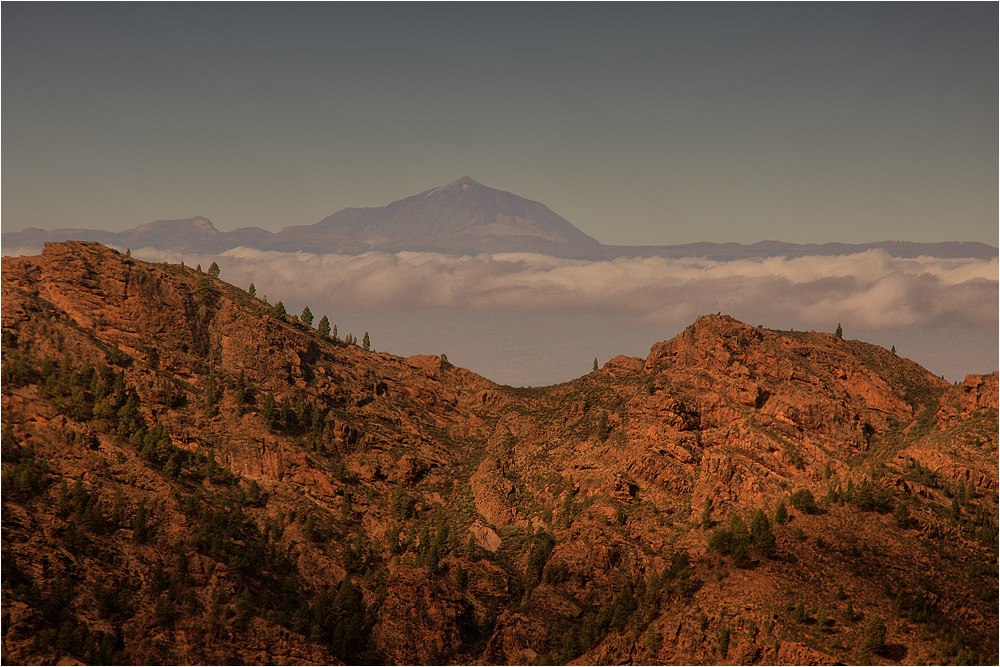 :: ~ Blick auf den Pico del Teide ~ ::
