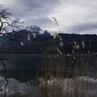 Blick auf den Pilatus 1