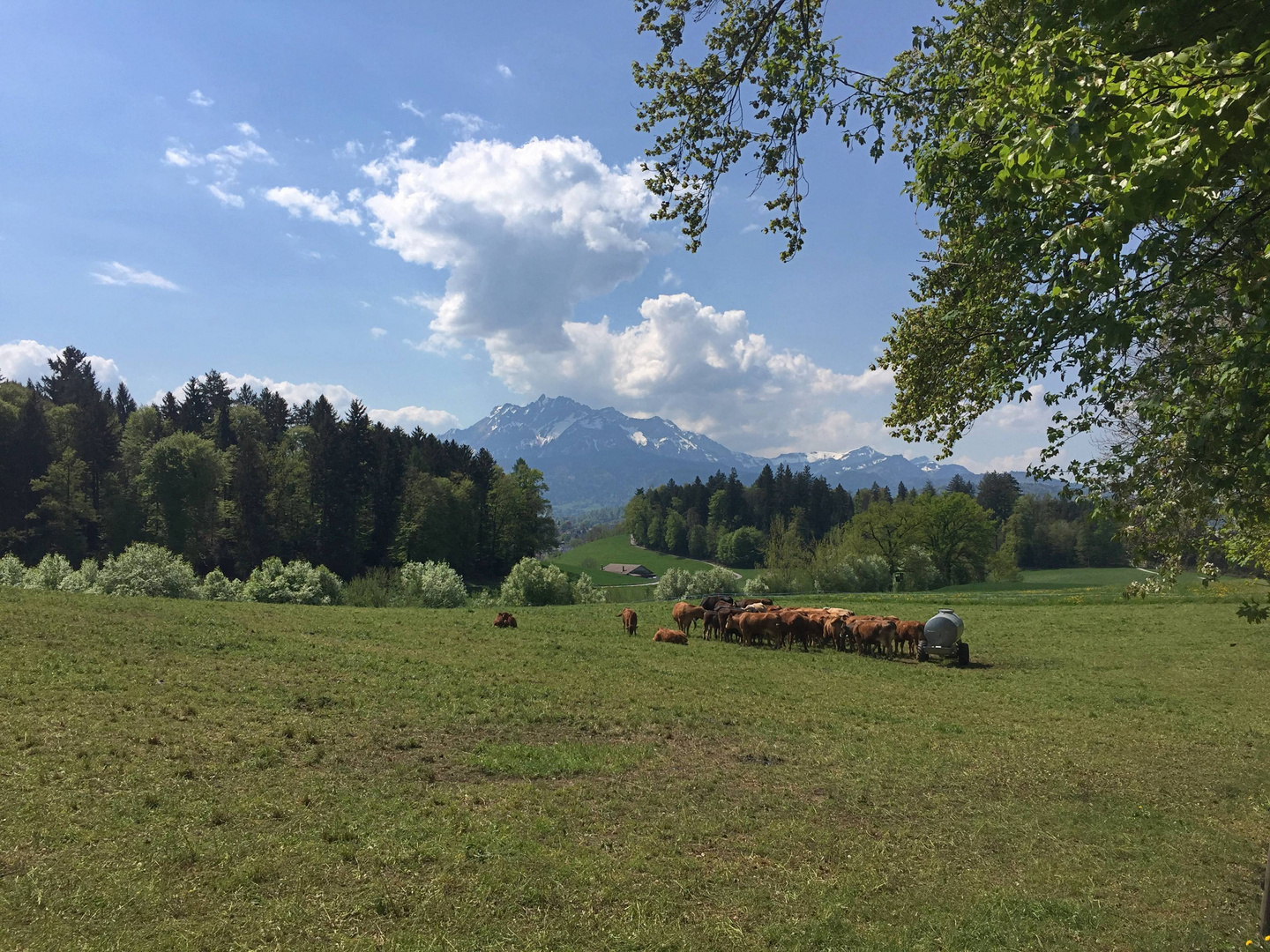 Blick auf den Pilatus ...