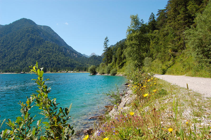 Blick auf den Plansee