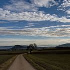 Blick auf den Plören