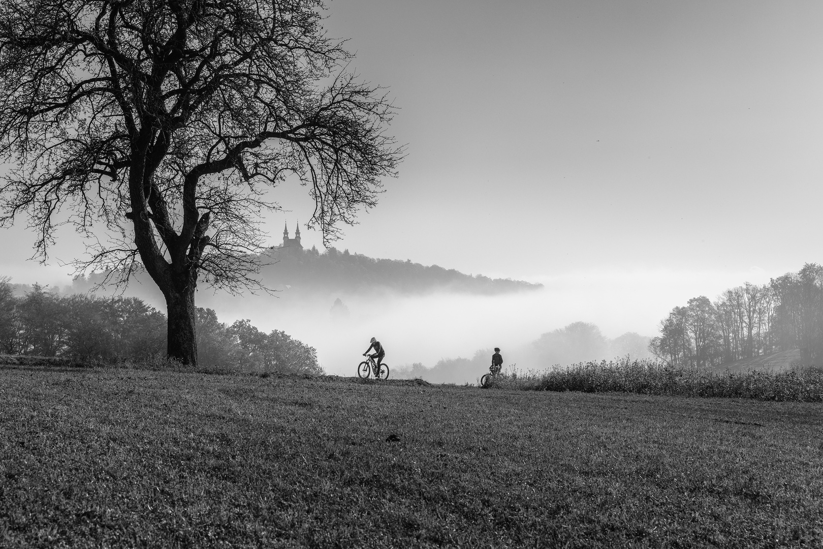 Blick auf den Pöstlingberg