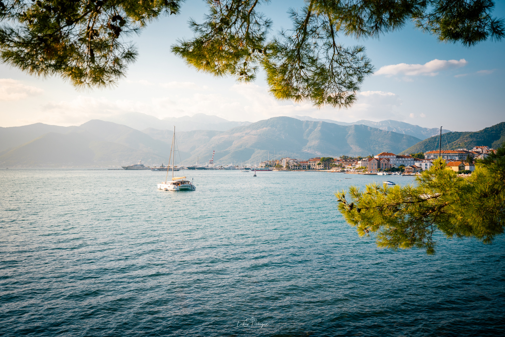 Blick auf den Porto Montenegro