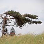 Blick auf den Prerower Leuchtturm