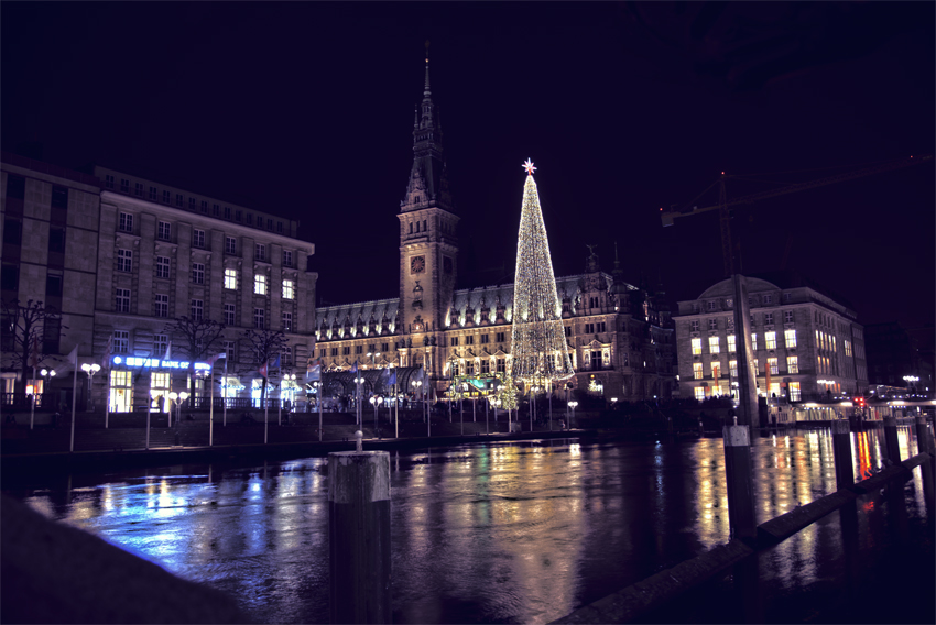 Blick auf den Rathausplatz mit Weihnachtsbaum in Hamburg