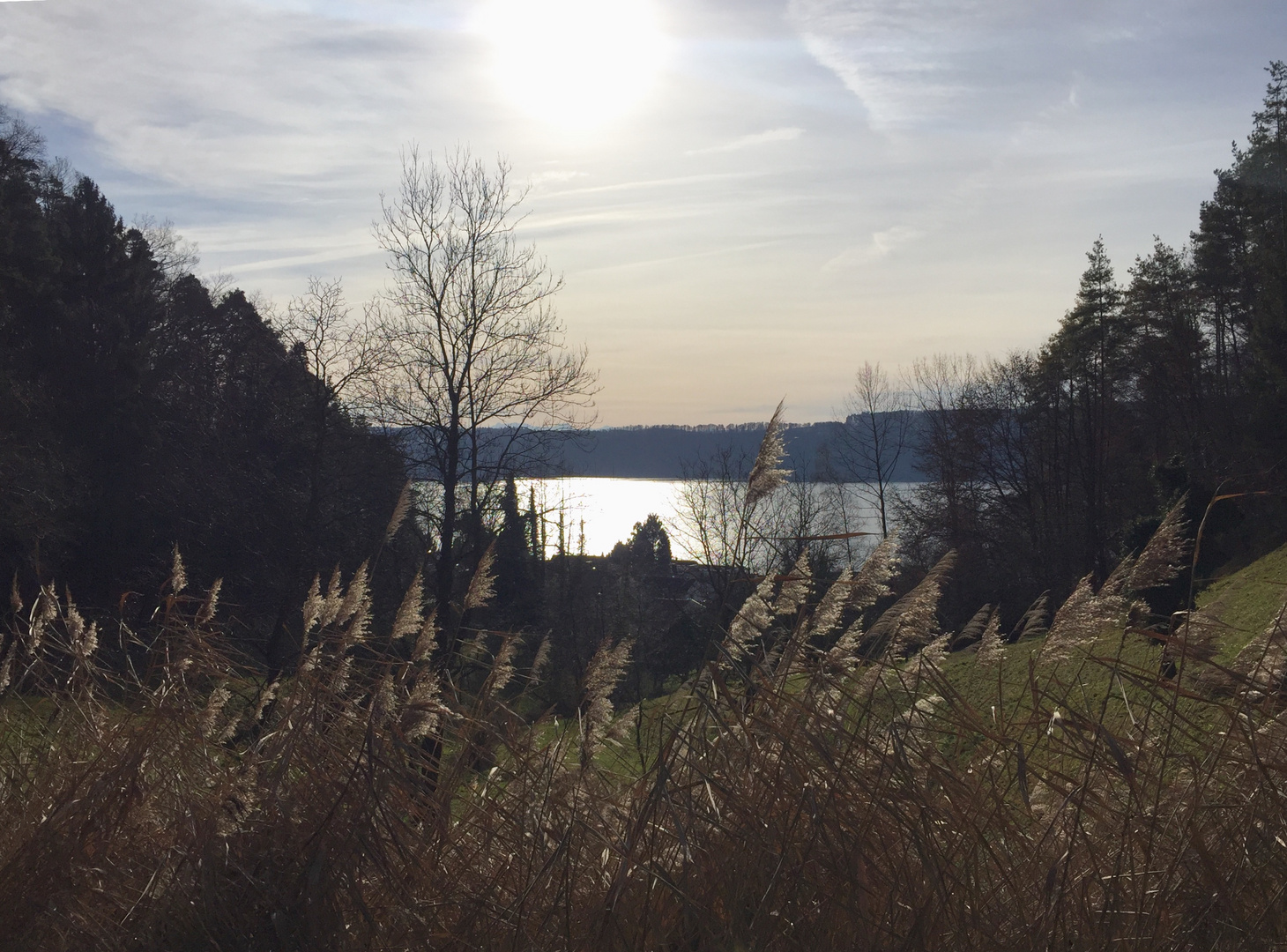 Blick auf den reflektierenden Bodensee ...